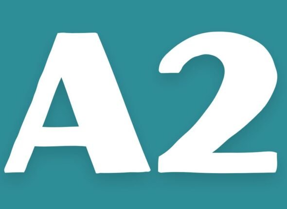241